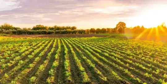 Horticulture Farm Insurance Kentucky
