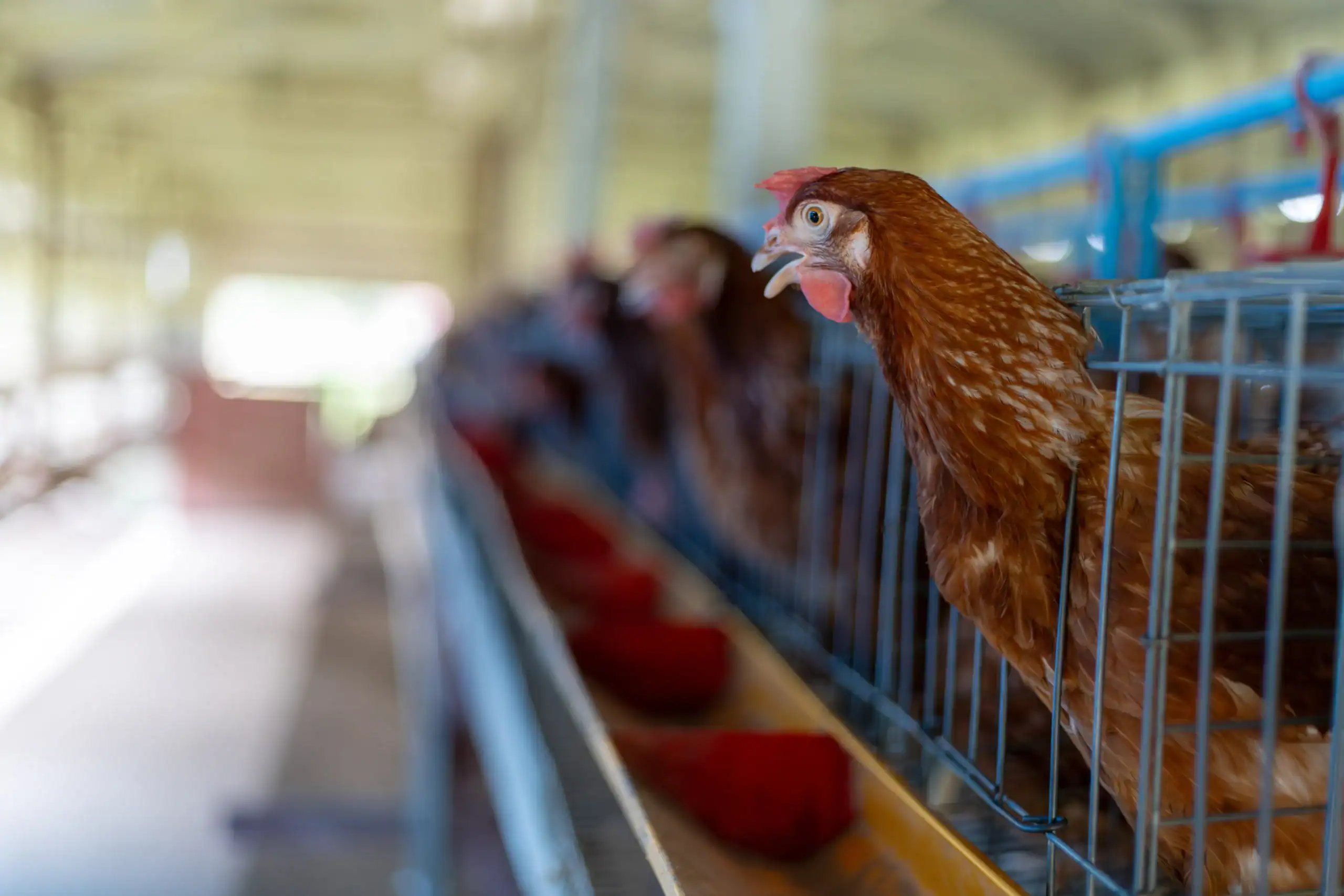 Commercial Farm Insurance Kentucky