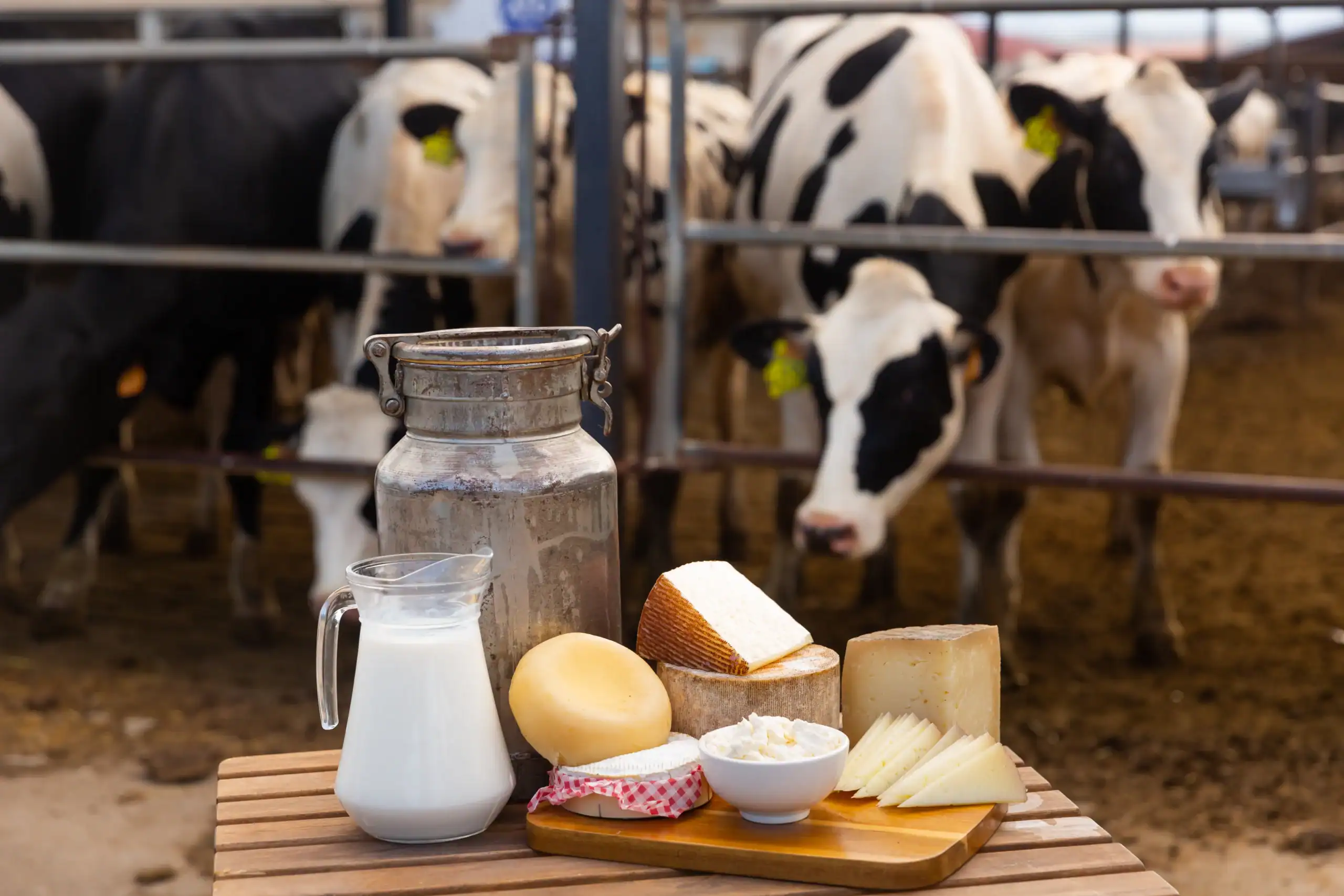 Dairy Farm Insurance Kentucky