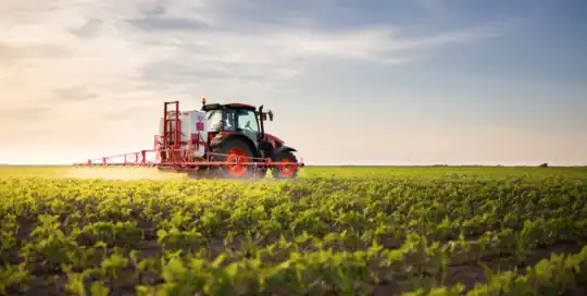 Hemp Crop Insurance Kentucky