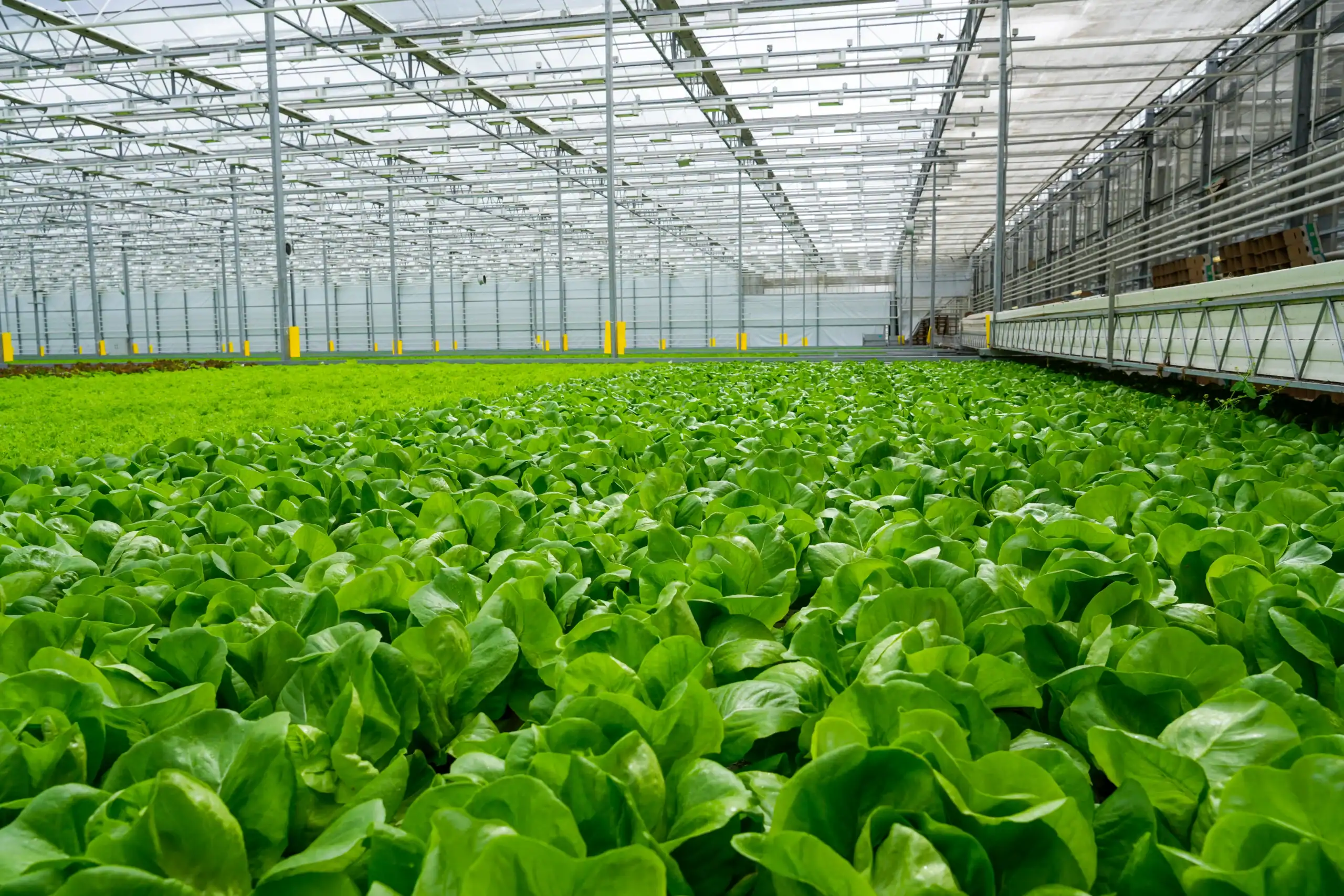 Commercial Farm Insurance Kentucky