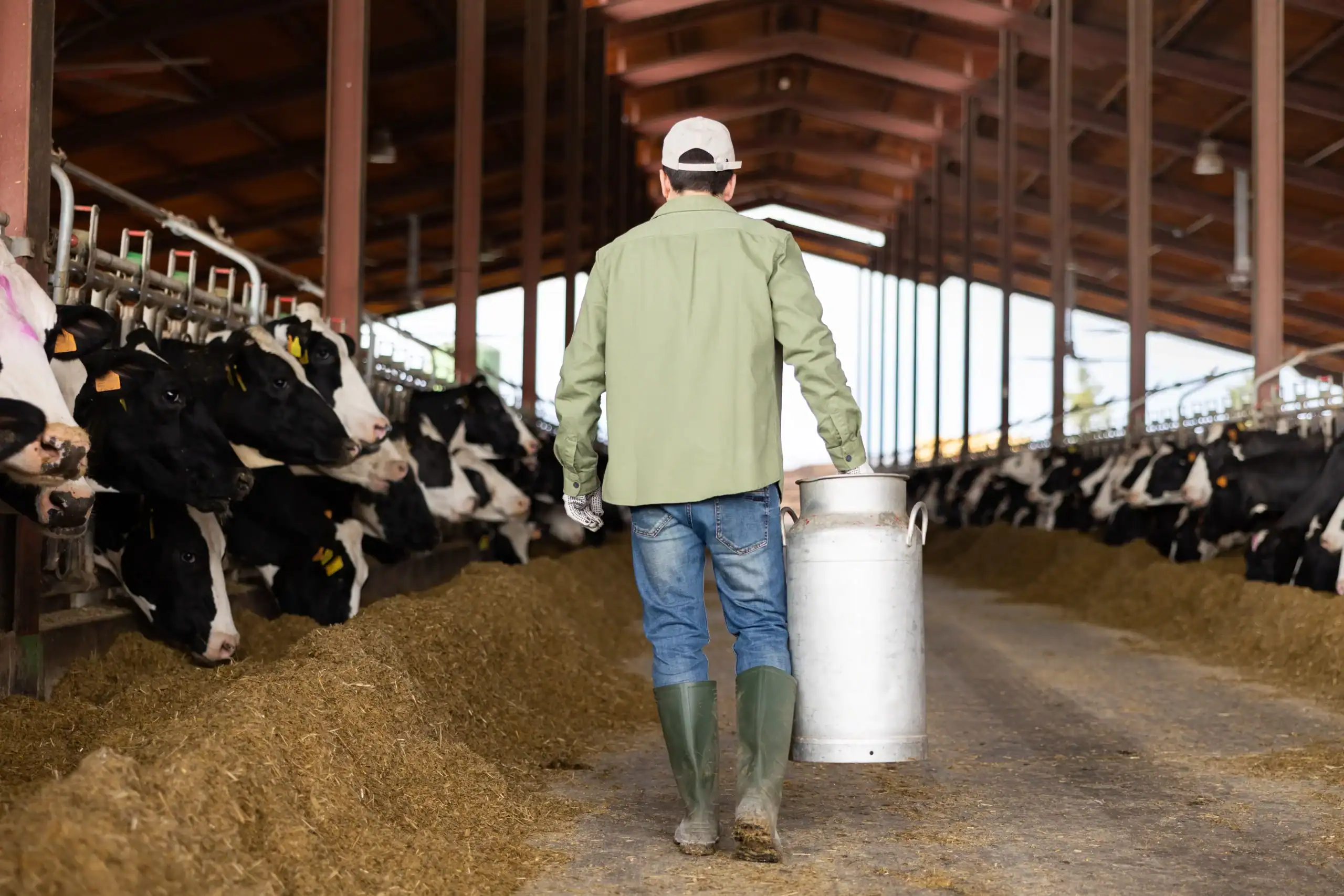 Dairy Farm Insurance Kentucky